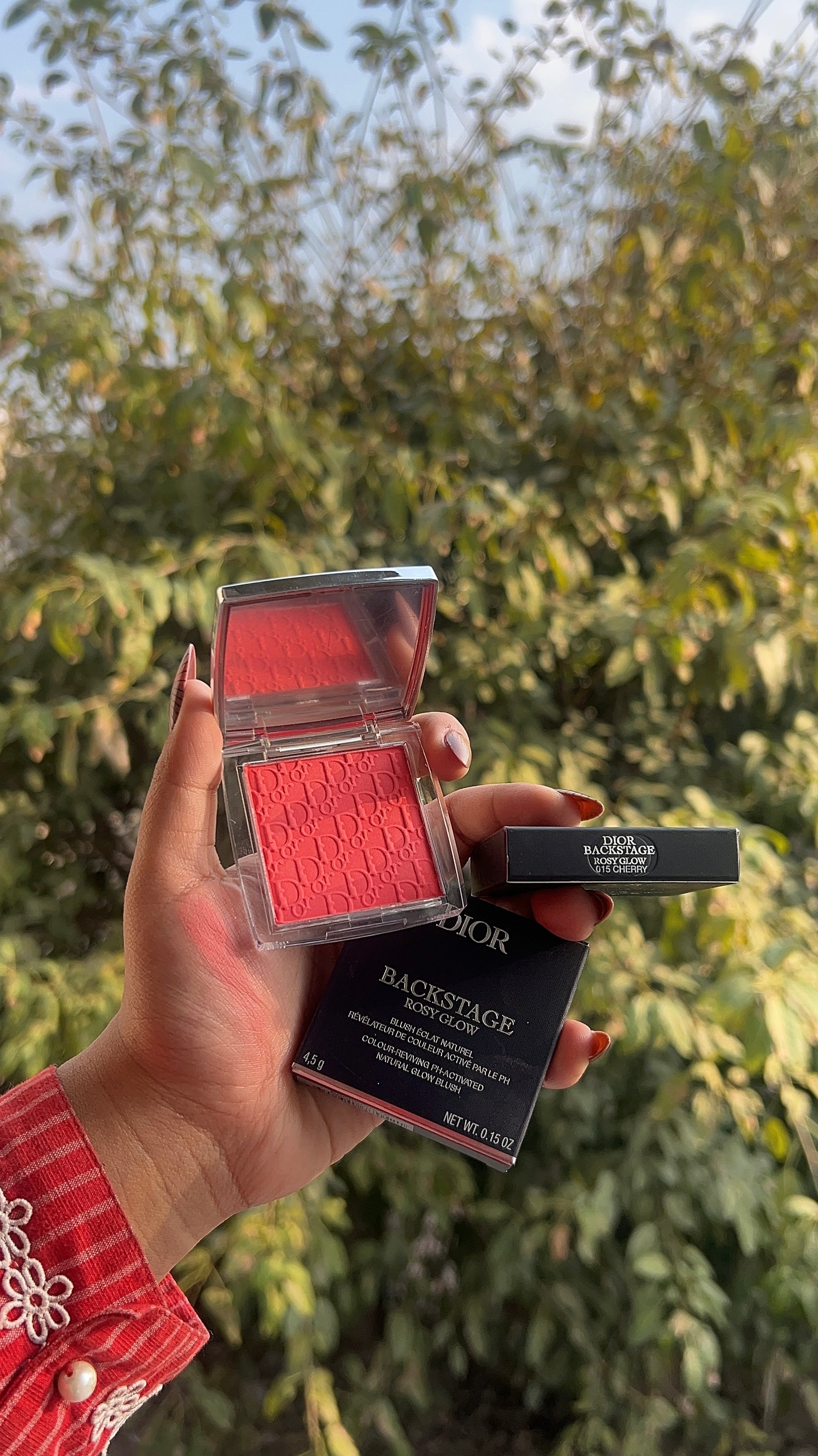 Dior Powder Blush – Silky, Buildable Color with Radiant Finish
