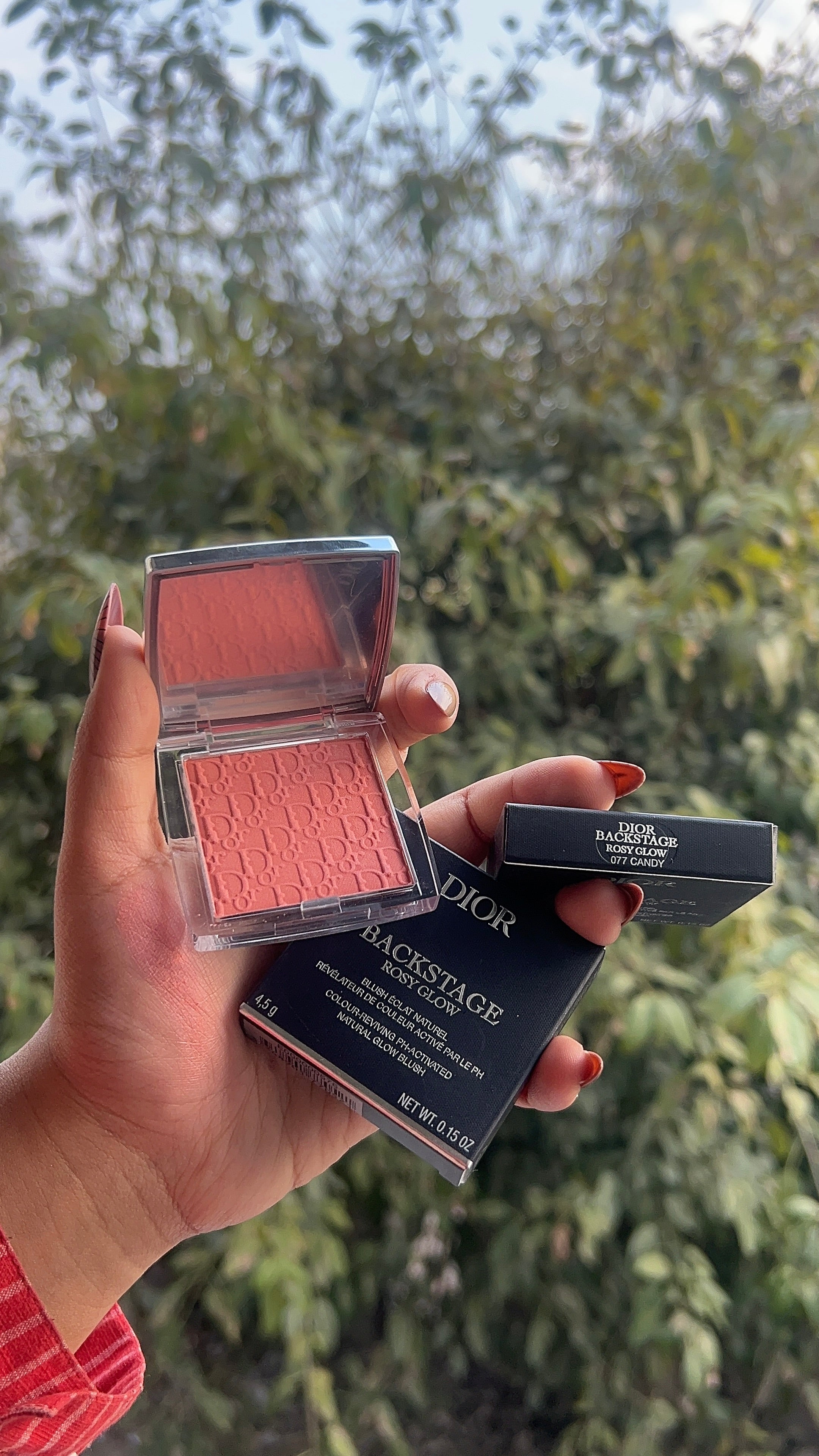 Dior Powder Blush – Silky, Buildable Color with Radiant Finish